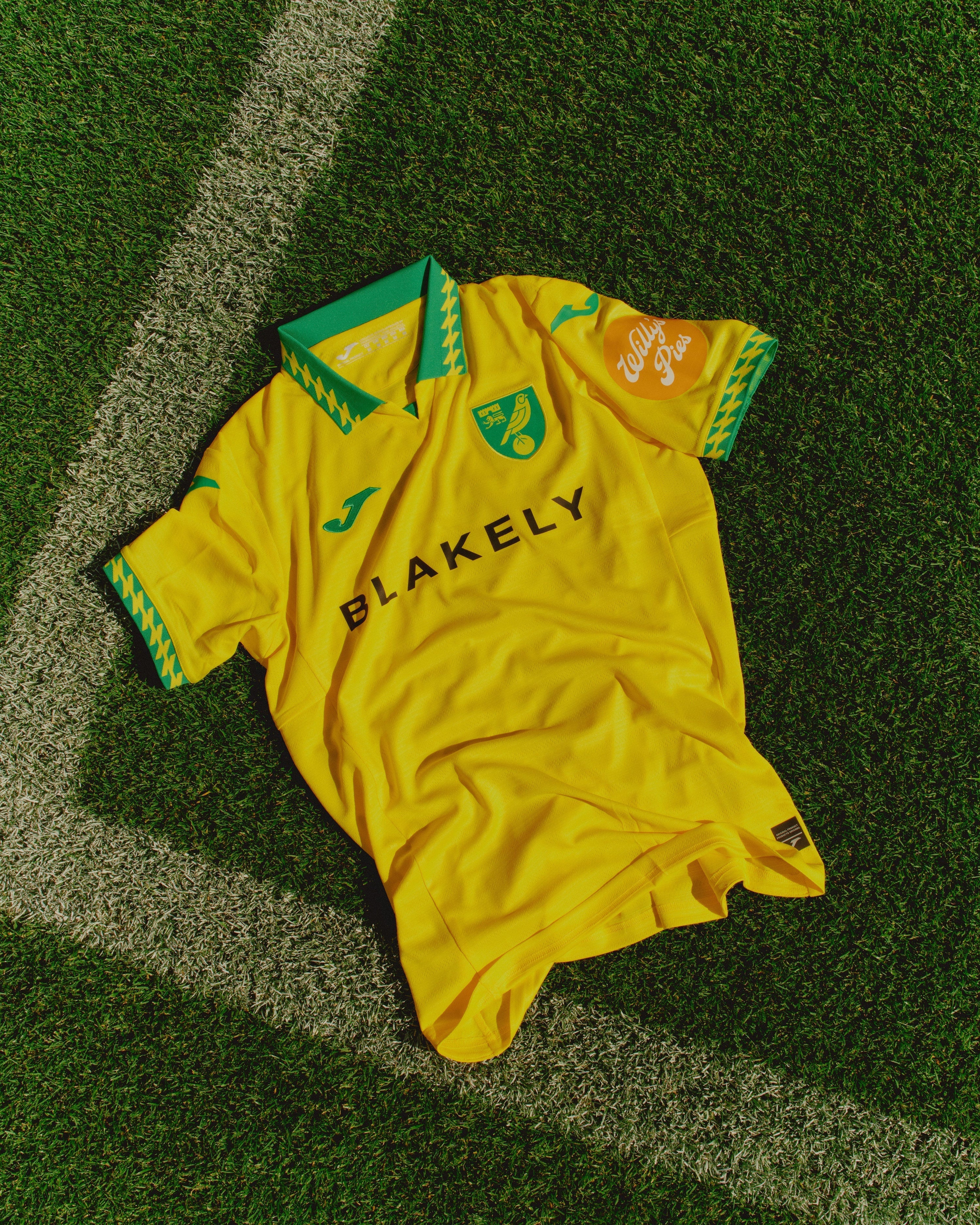 WILLY'S PIES CONFIRMED AS NEW SLEEVE SPONSOR FOR NORWICH CITY FC